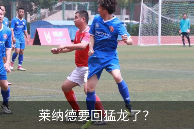 莱纳德要回猛龙了？